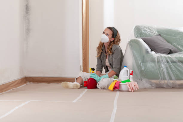 Reliable Mold Remediation contractor in Jobstown, NJ by Cheap Mold Removal
